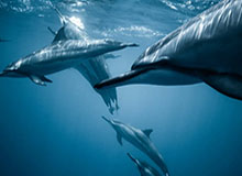 爱游戏官网——用热爱连接每一次游戏之旅